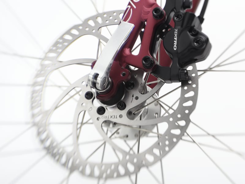 Trek hotsell townie 9d