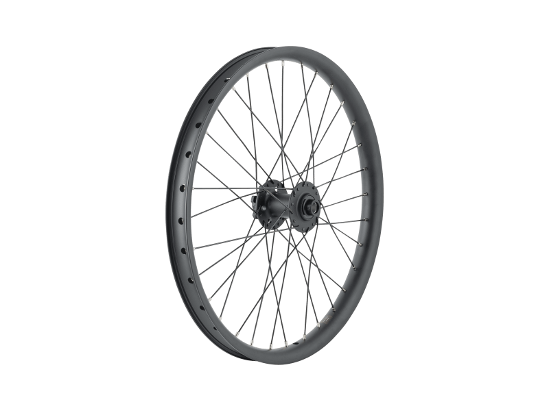 20 in bike hotsell rim