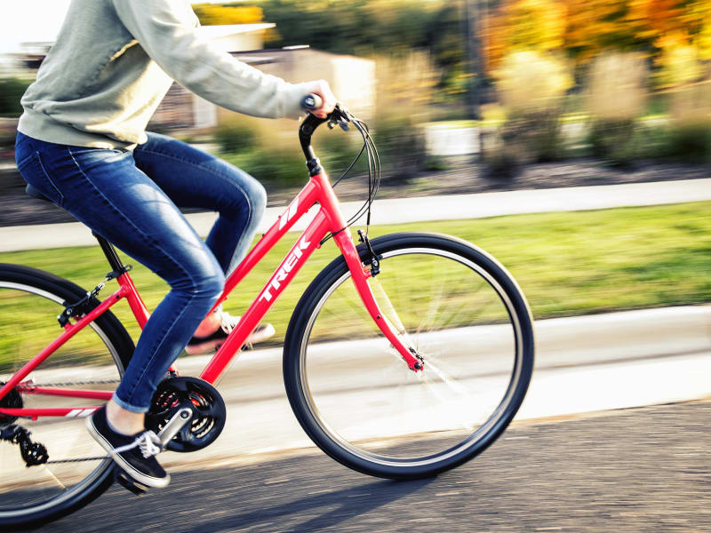 Trek verve 2 women's 2019 sale