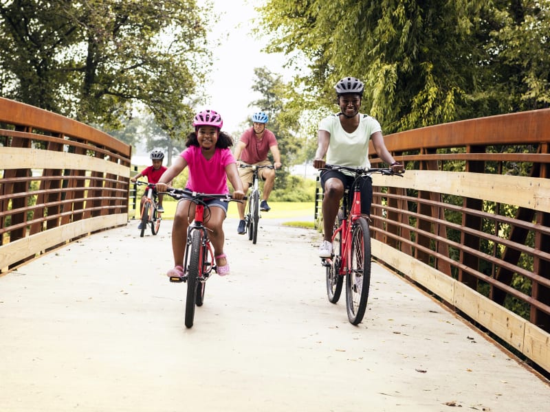 Trek verve best sale 2 women's 2019