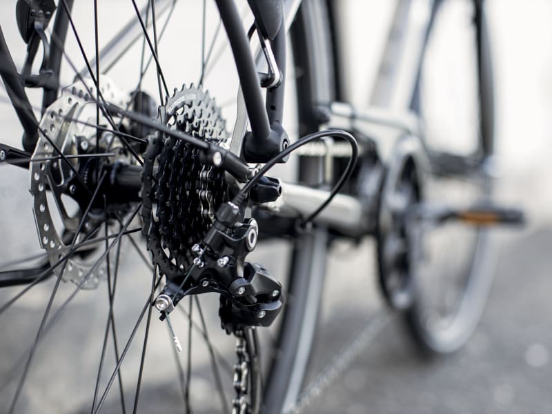 Trek verve 3 equipped store