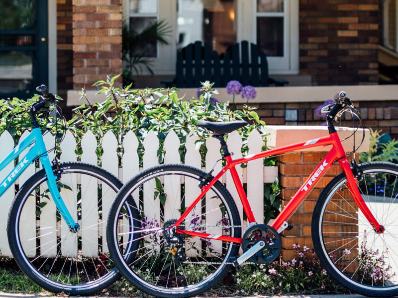 Trek verve 3 women's best sale 2020