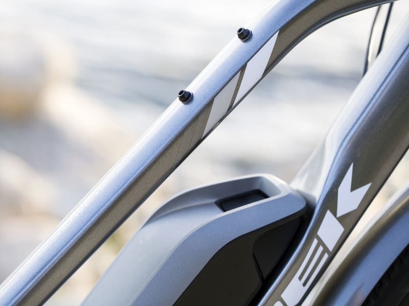 Trek verve+ lowstep 2019 hot sale