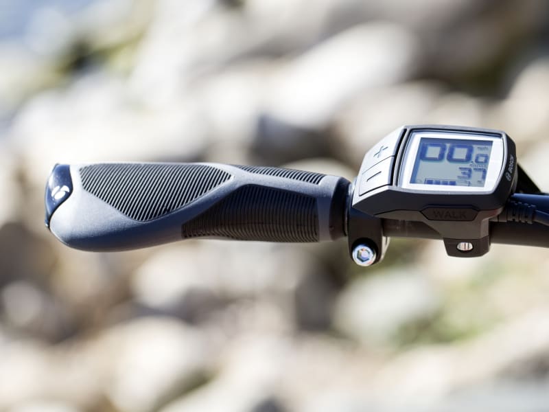 Trek verve plus for sale shop