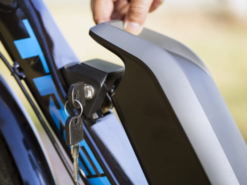 2019 trek verve+ sales