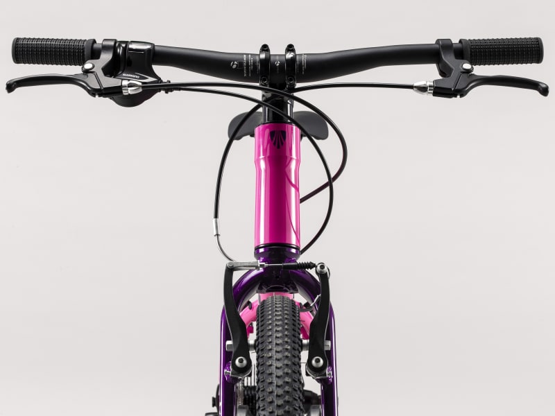 Trek wahoo sales pink