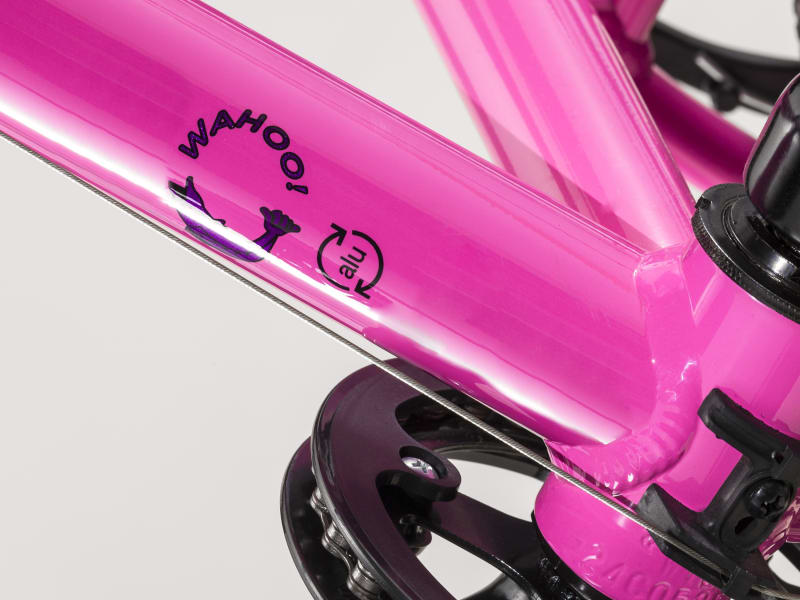 Wahoo 20 Trek Bikes