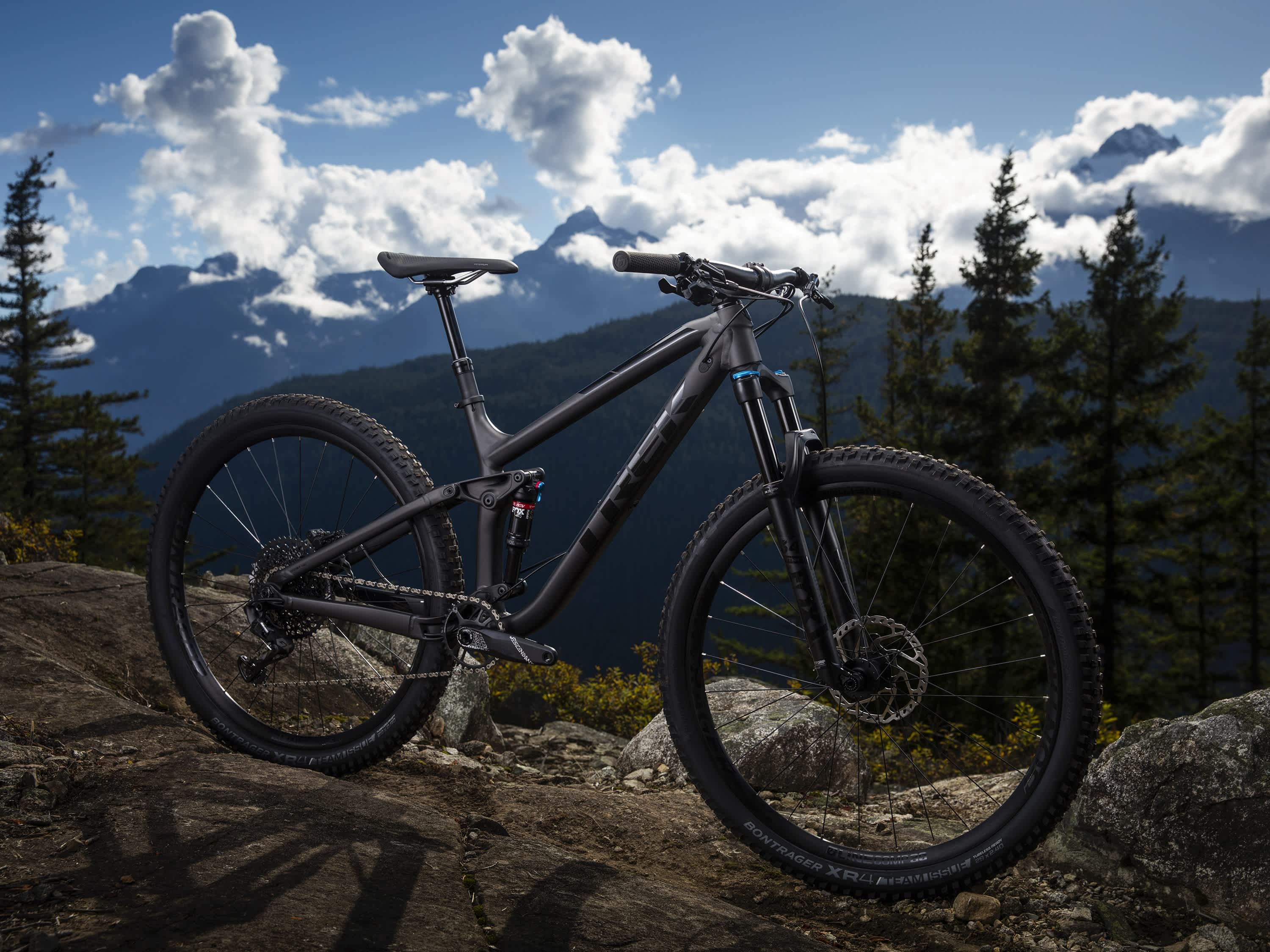 Fuel EX 8 29 - Trek Bikes