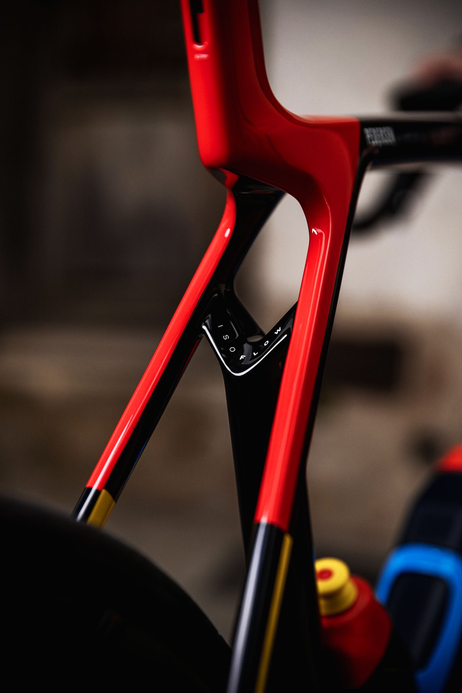 23-Madone-RD-Ross-Bell-Photo-Web-202-copy