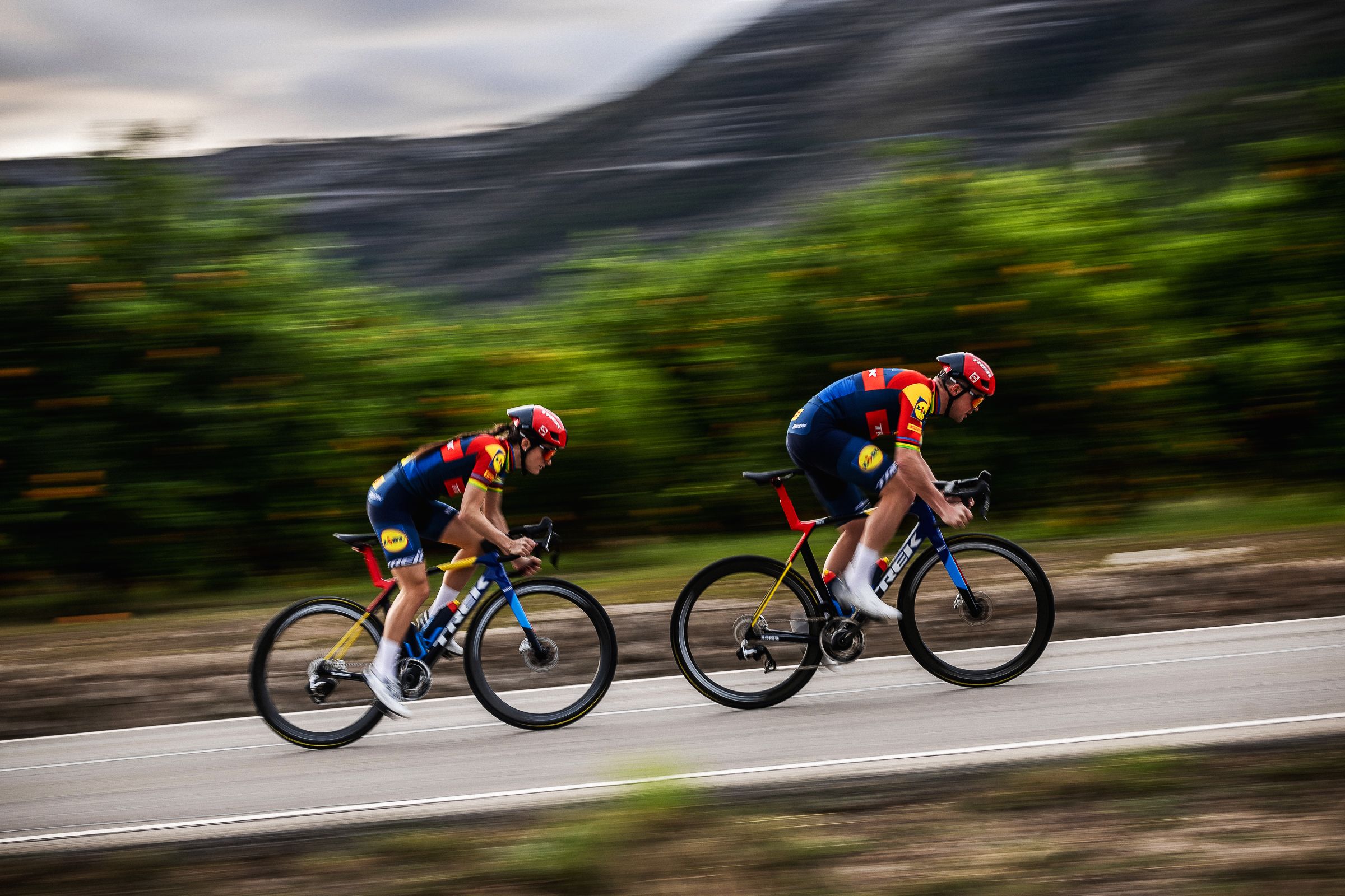 23-Madone-RD-Ross-Bell-Photo-Web-49-copy