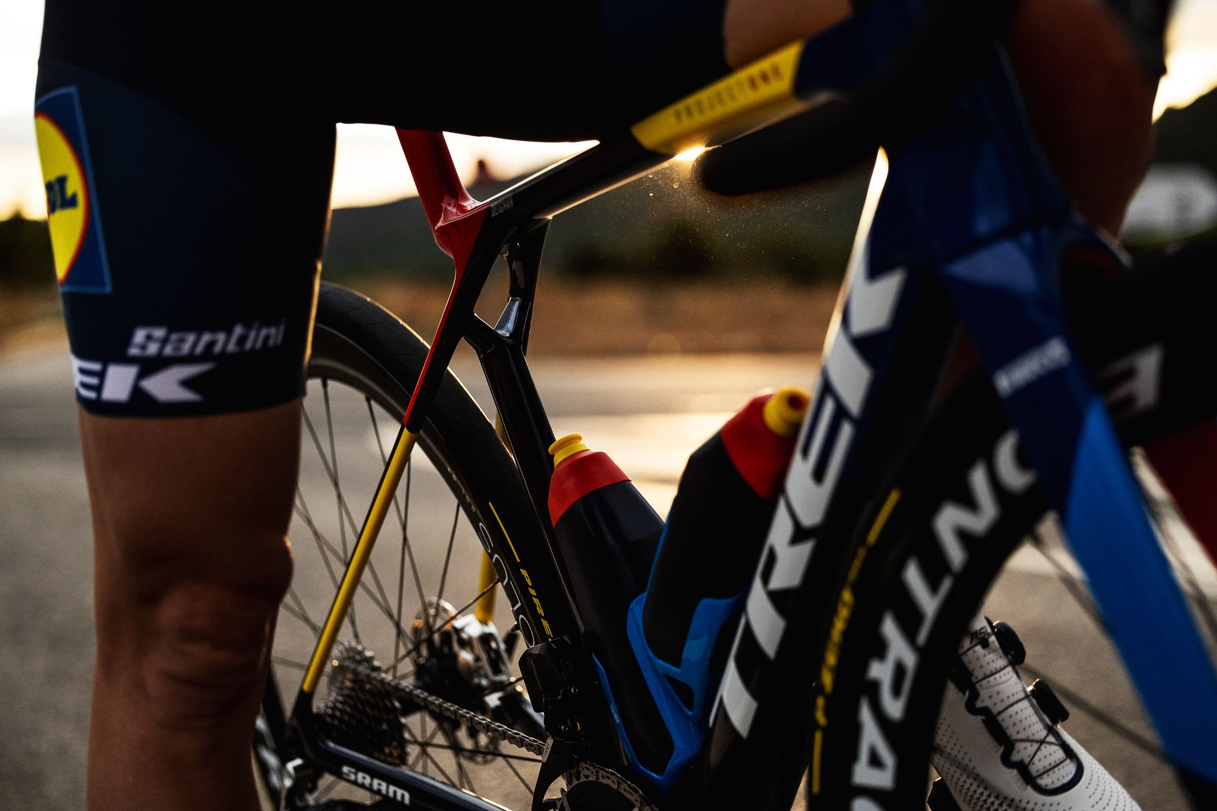 23-Madone-RD-Ross-Bell-Photo-Web-19-copy