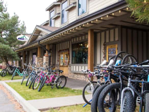 Trek bikes northlake hotsell