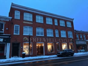 Freewheel of cycle discount