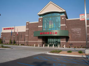 Scheels trek bikes 2025