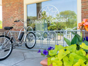 Trek sprocket sales