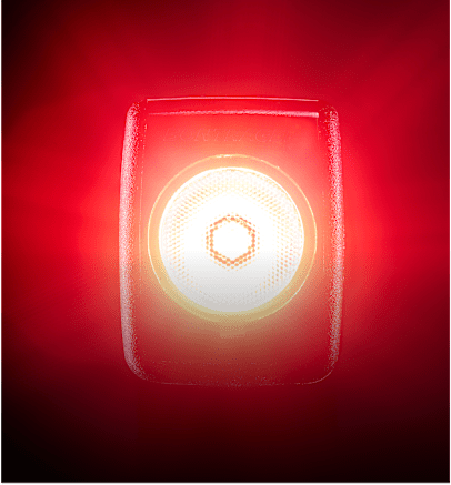 See the lights
