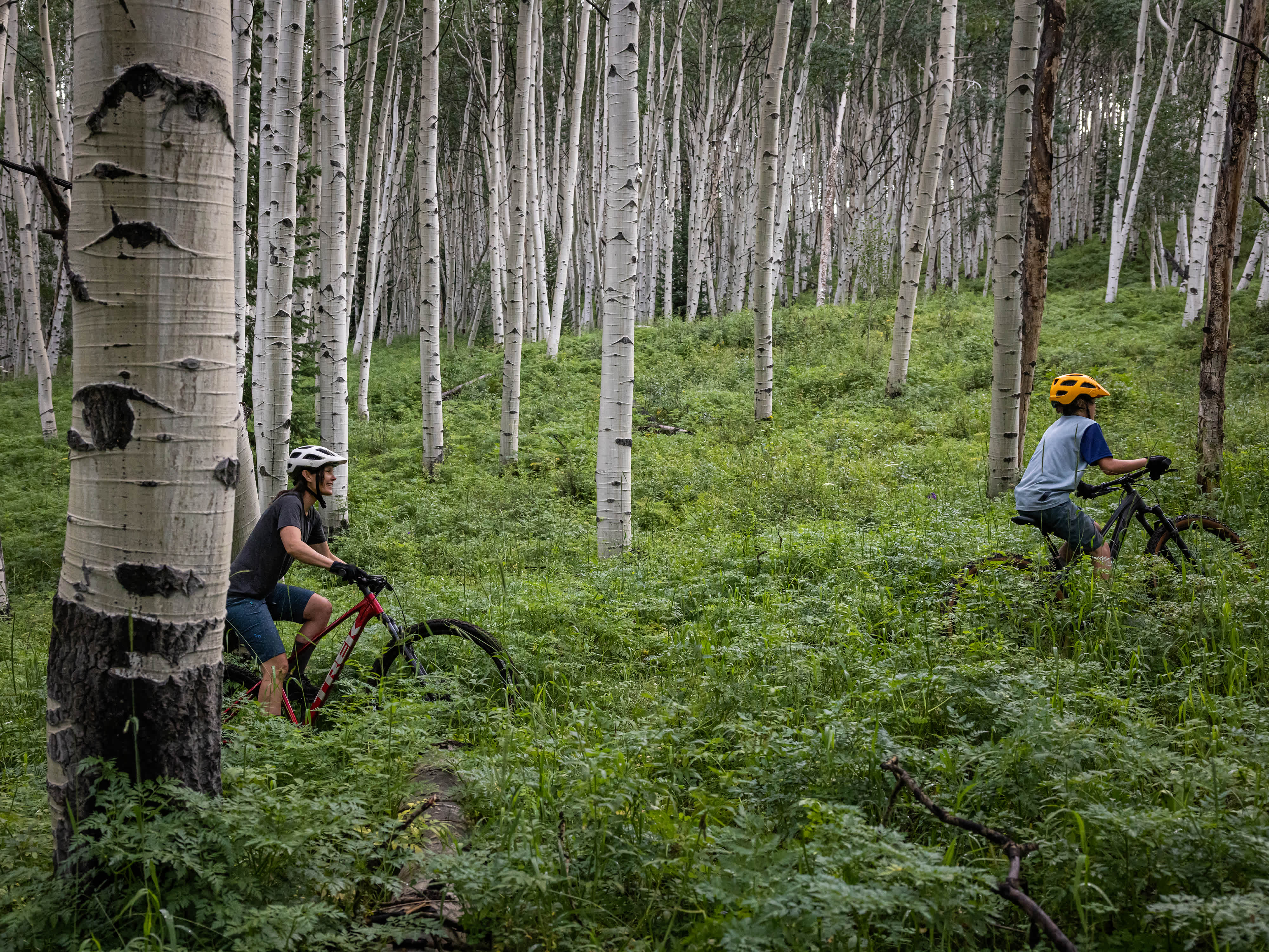 2026 Marlin 6 Gen 3 Hardtail Mountain Bike banner 4