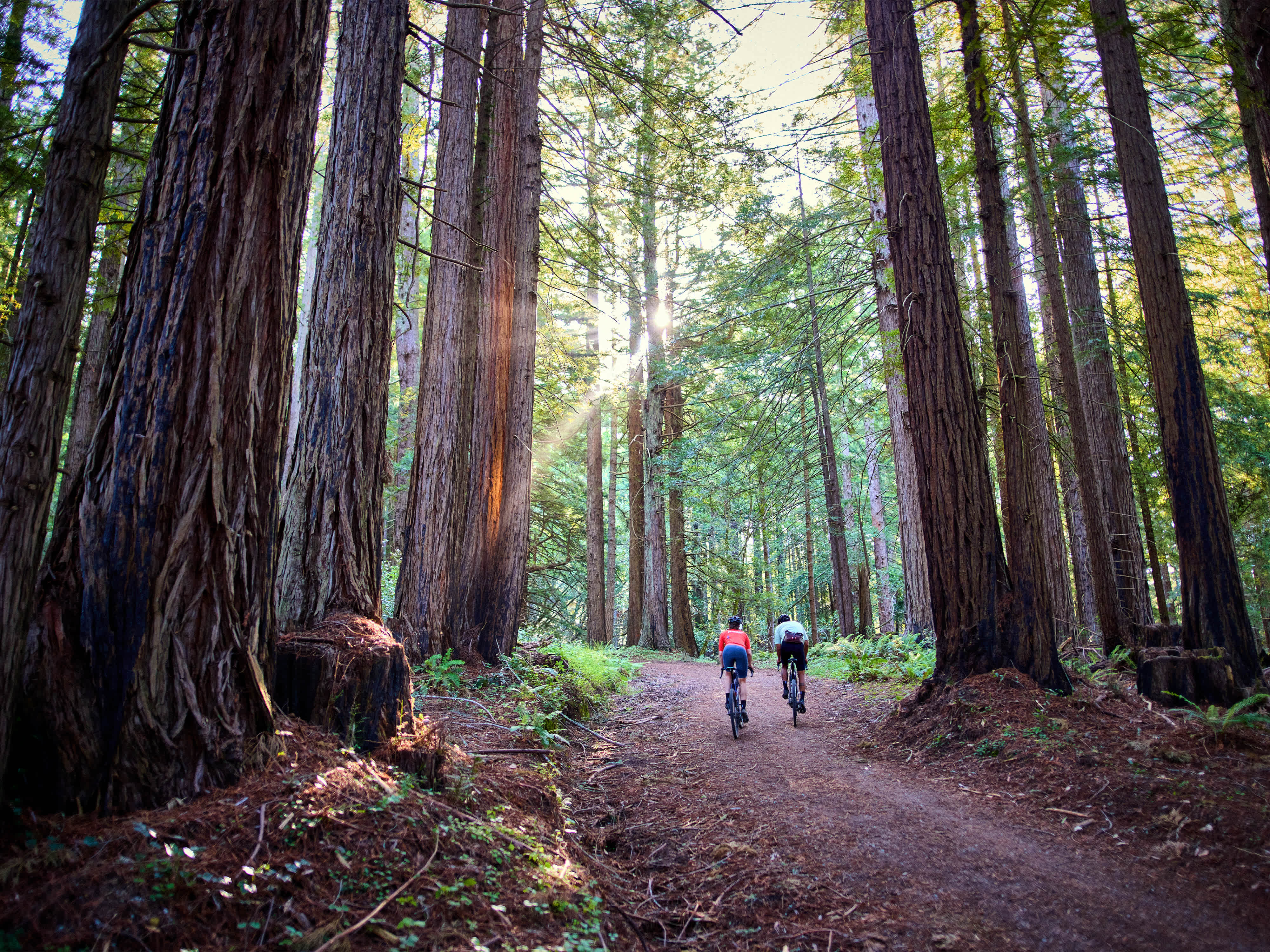 2026 Checkpoint SL 6 AXS Gen 3 Gravel Road Bike banner 6