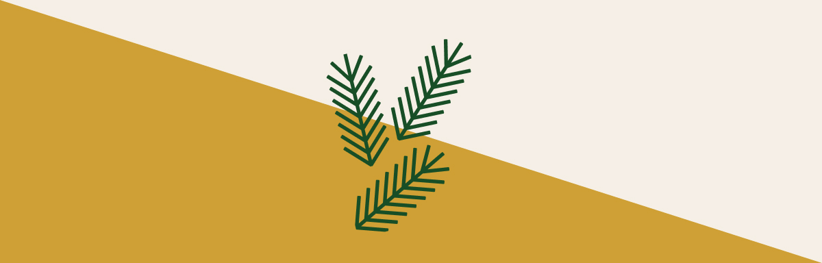 Lifestyle shot of a cyclist wearing a helmet on CATEGORY bike1