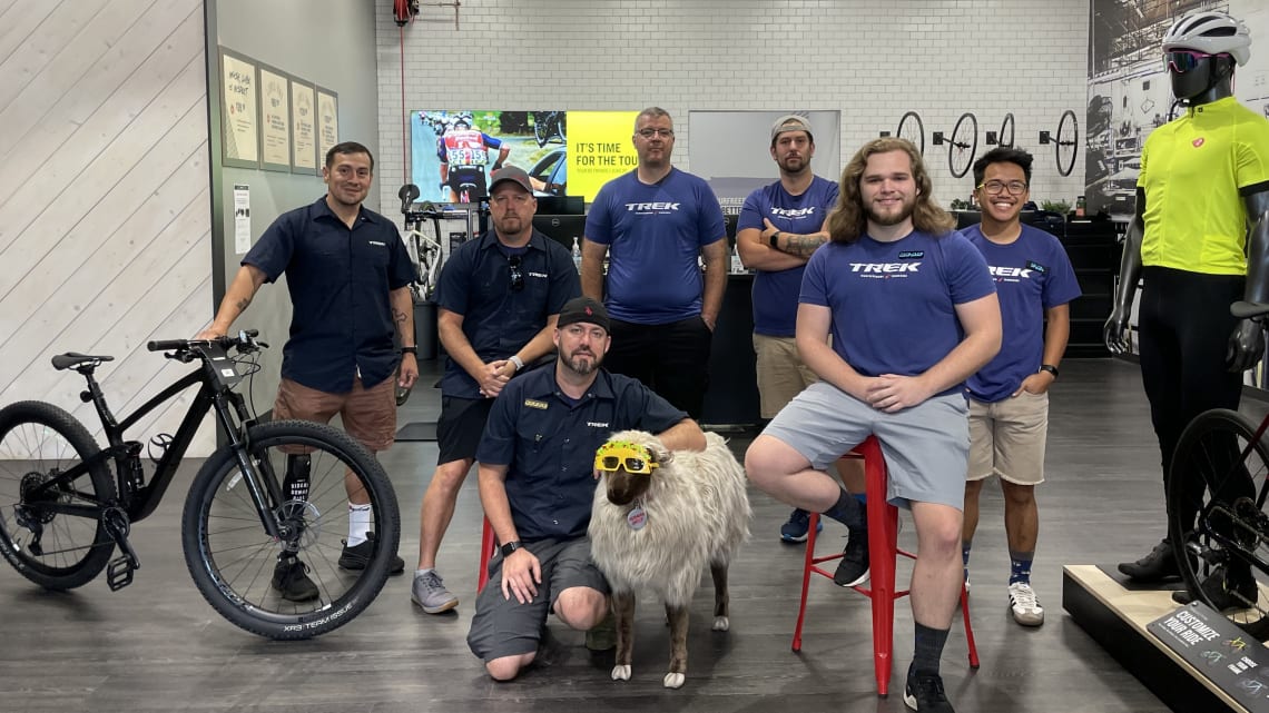 Trek store hours cheap