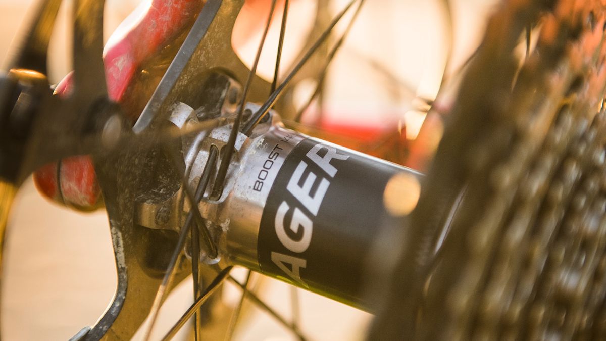 Rapid Drive 108 rear hub