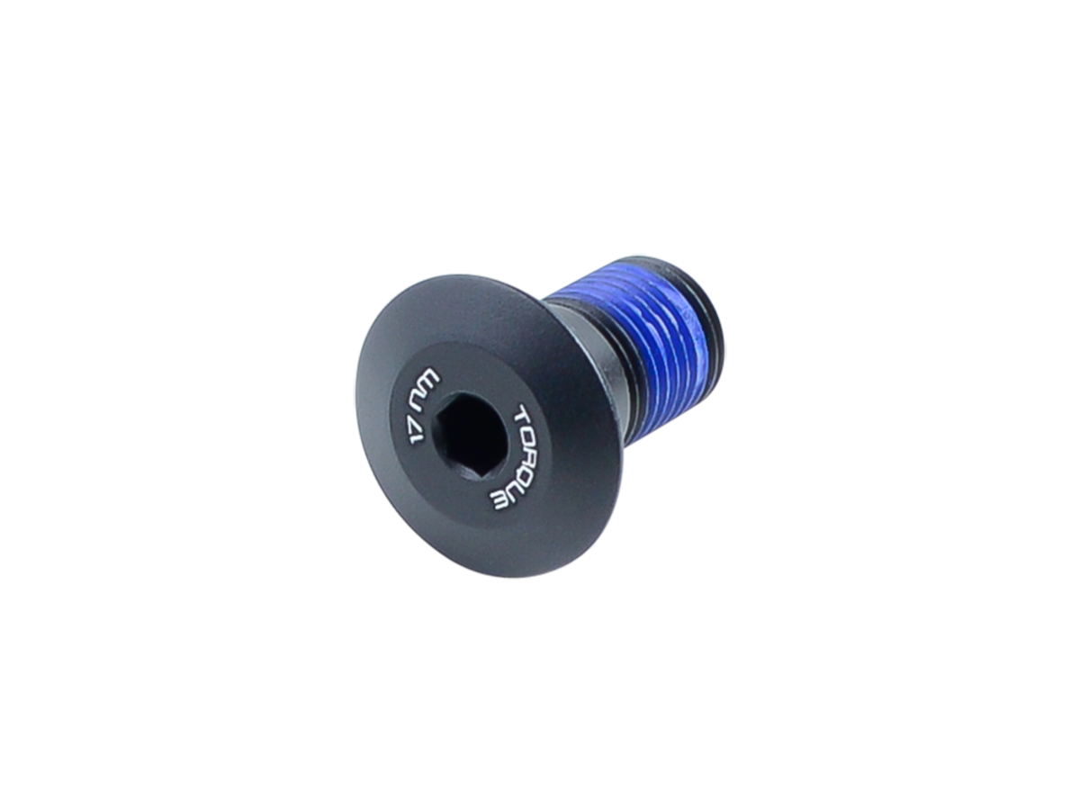 trek main pivot bolt