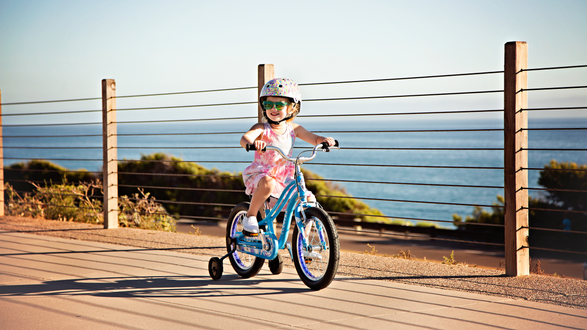 Sprocket 16˝ Electra Bikes