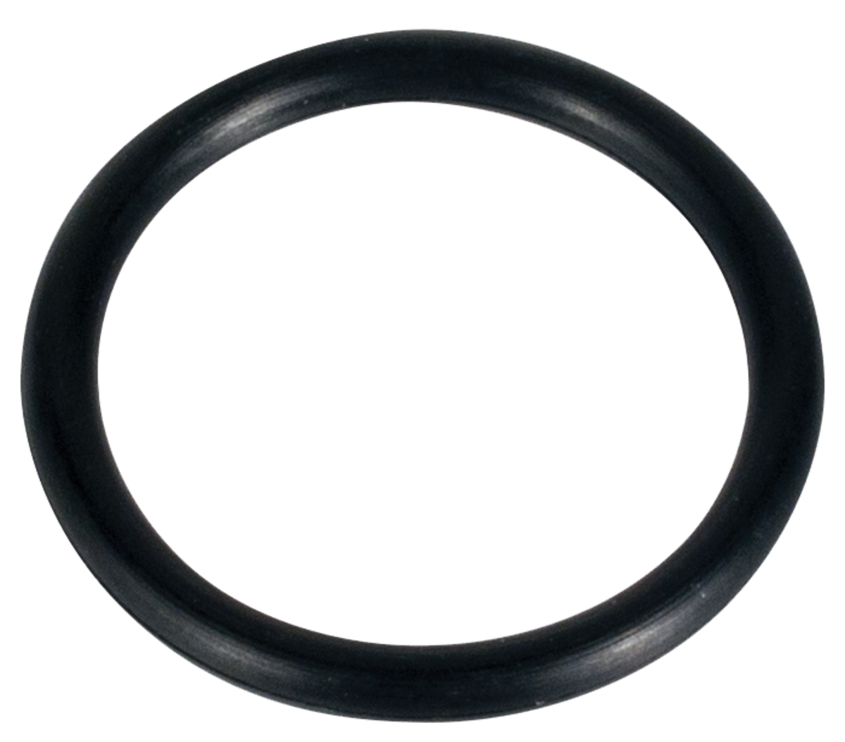 Bontrager TurboCharger Women Floor Pump Piston ORing Trek Bikes