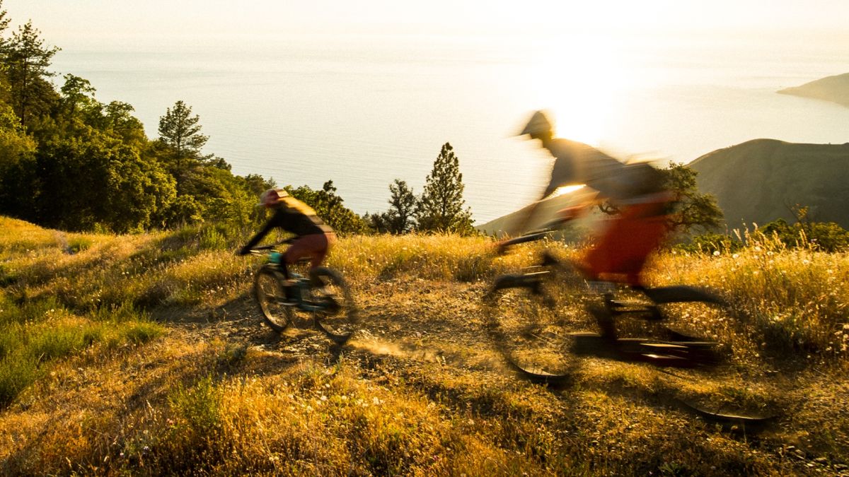 Bike bar ends Trek Bikes