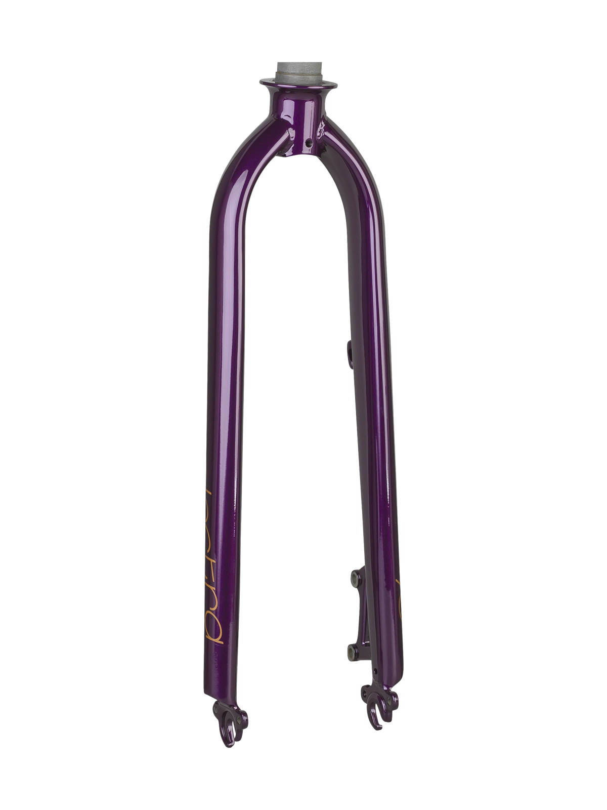 Electra Townie Go! 8i Ladie's Disc Brake Rigid Forks Electra Bikes (NZ)