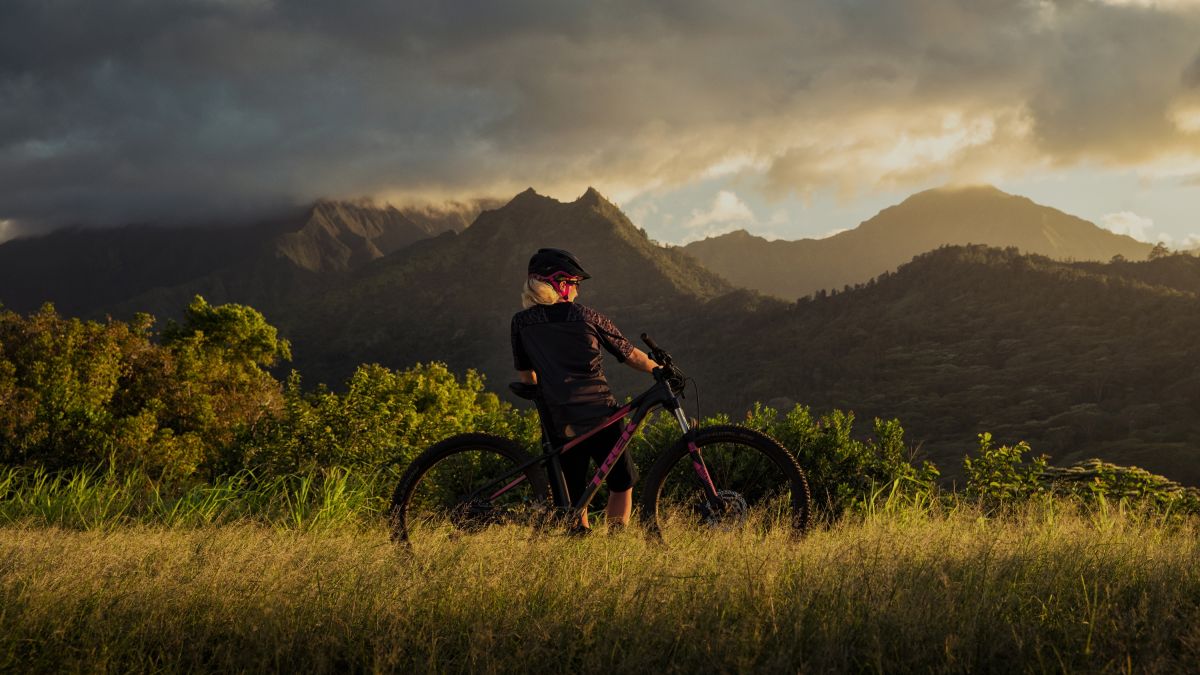 Entry level and beginner mountain bikes Trek Bikes IN