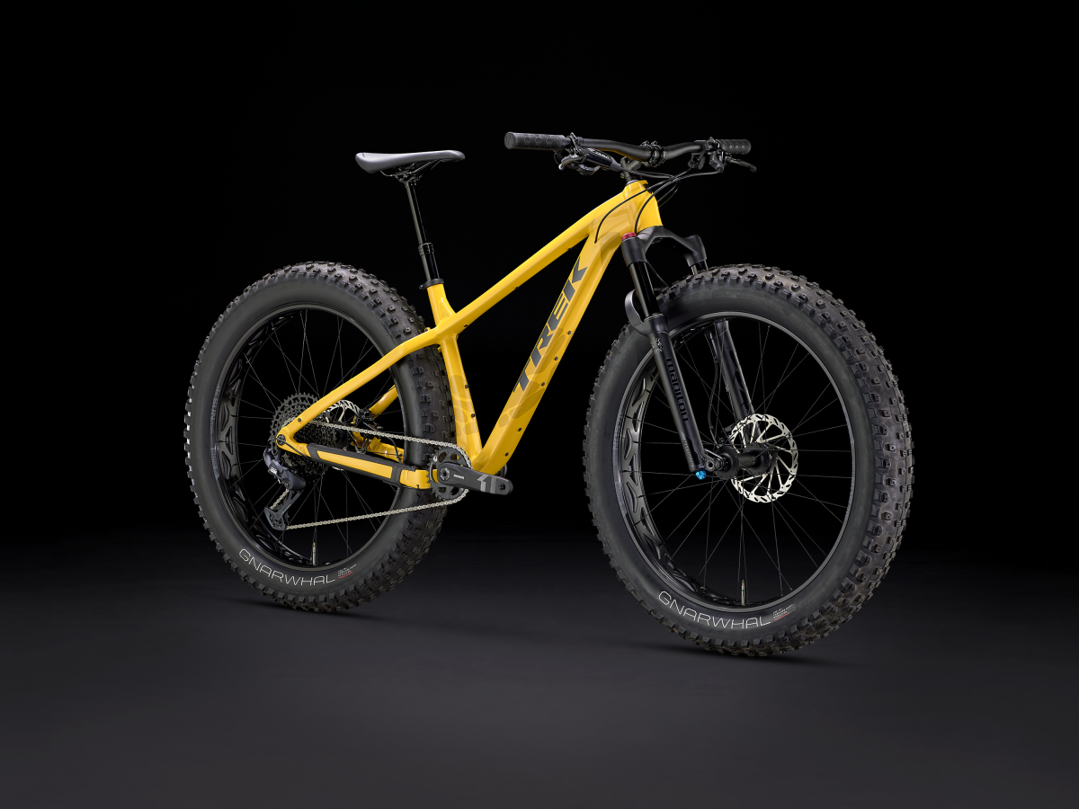 Trek bikes shop 2019