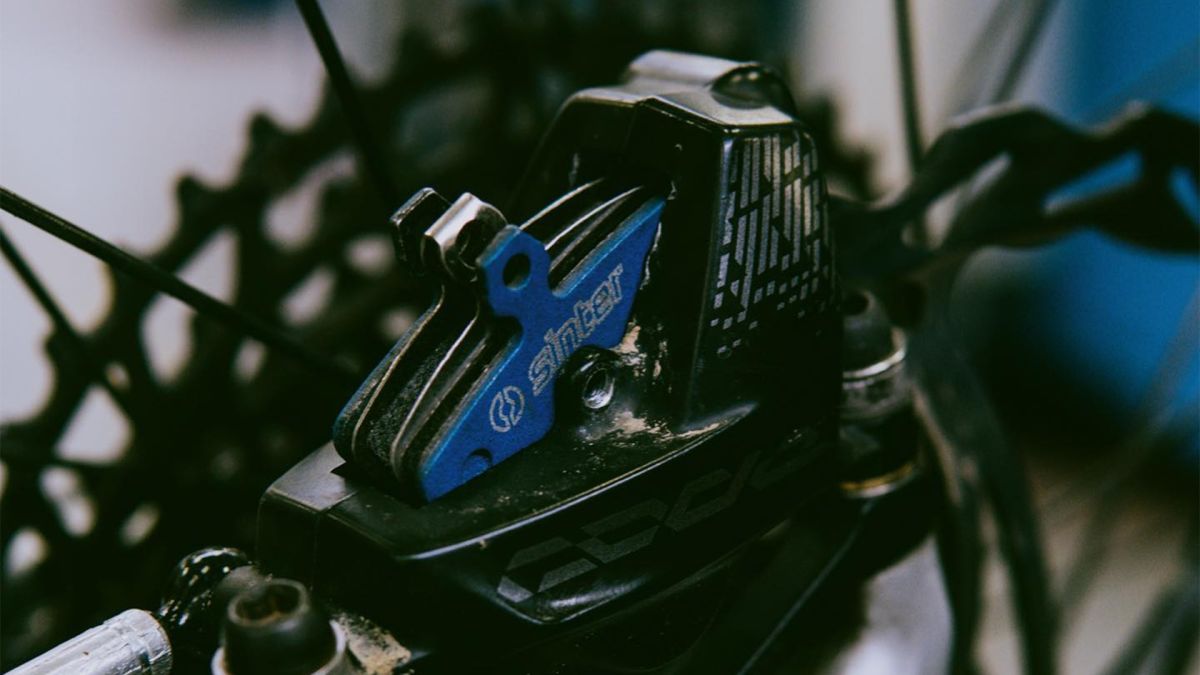 Sinter - Trek Bikes