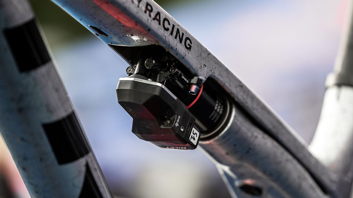 Rockshox Flight Attendant