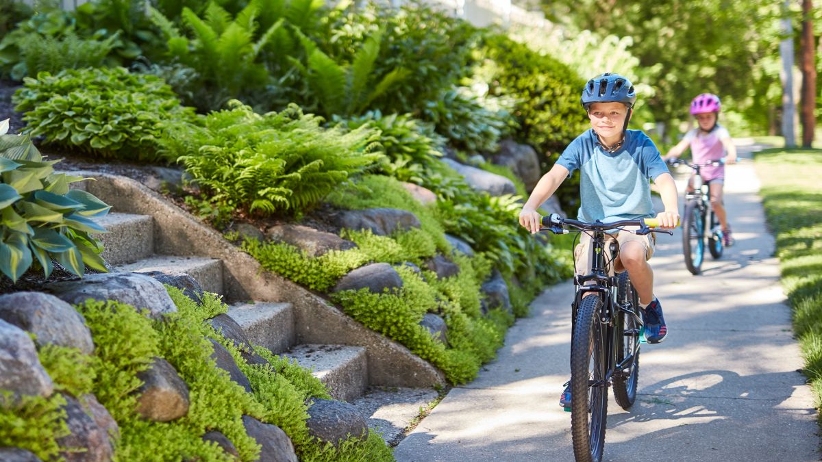 vocaal Torrent Beperkt Jongensfietsen - Trek Bikes (NL)