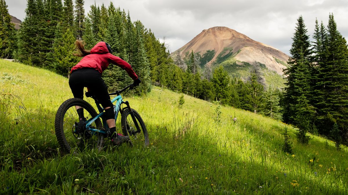 Mountain bike jerseys - Trek Bikes