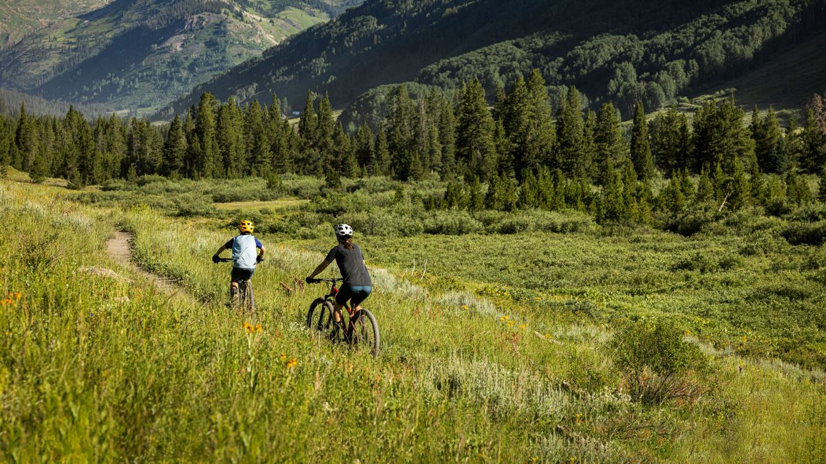 Marlin Accessories Trek Bikes CA