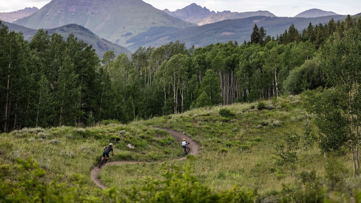 Trek 2024 marlin frameset