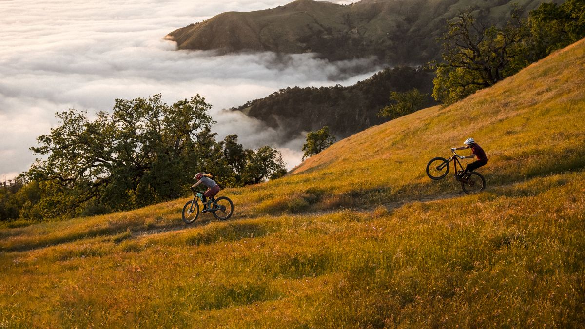 Mountain bike barn sales