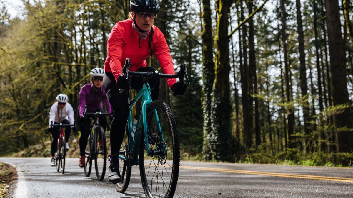 what year is my trek bike