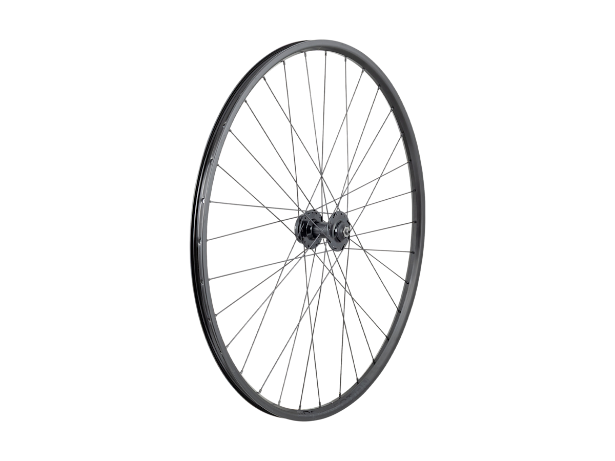 Trek Connection Schrader 29˝ 6-Bolt Disc MTB Wheel - Trek Bikes (CA)