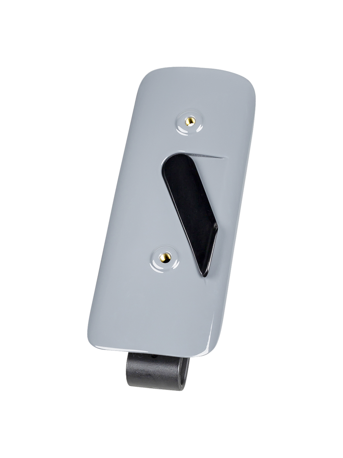 bikes with downtube storage