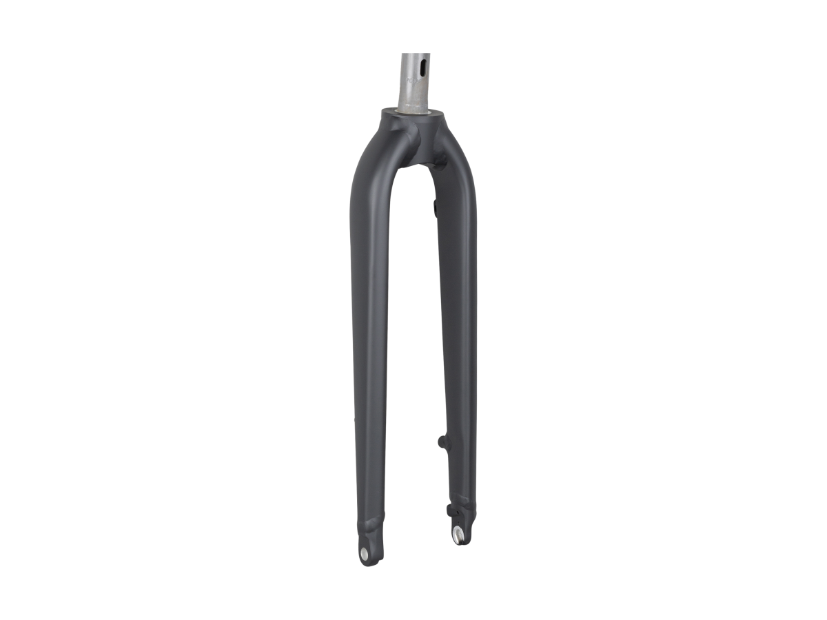 trek dual sport fork upgrade