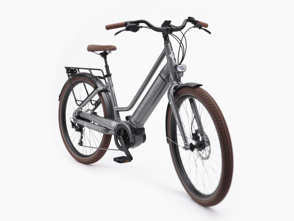 Vale go 2025 electric bike