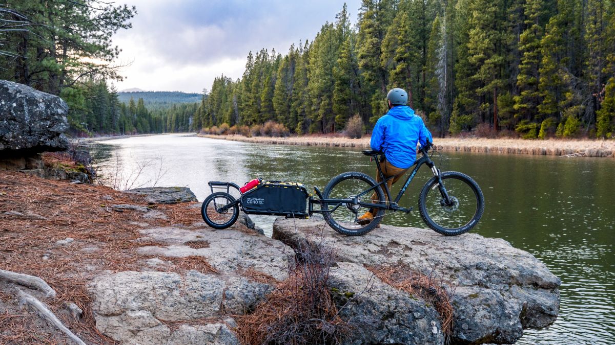 bike trailer trek bikes