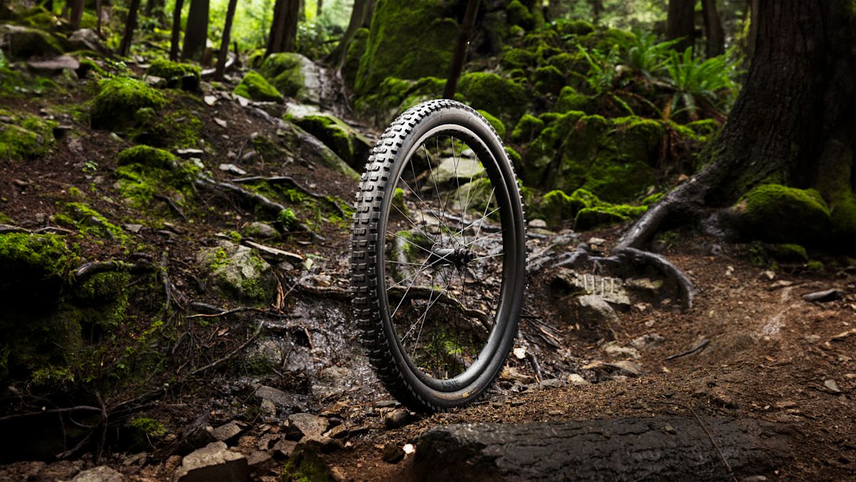 Enduro mtb tires on sale