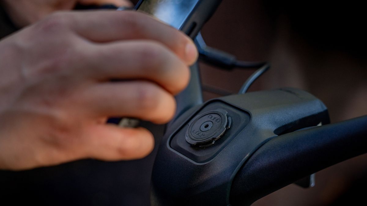 Integrated phone mount