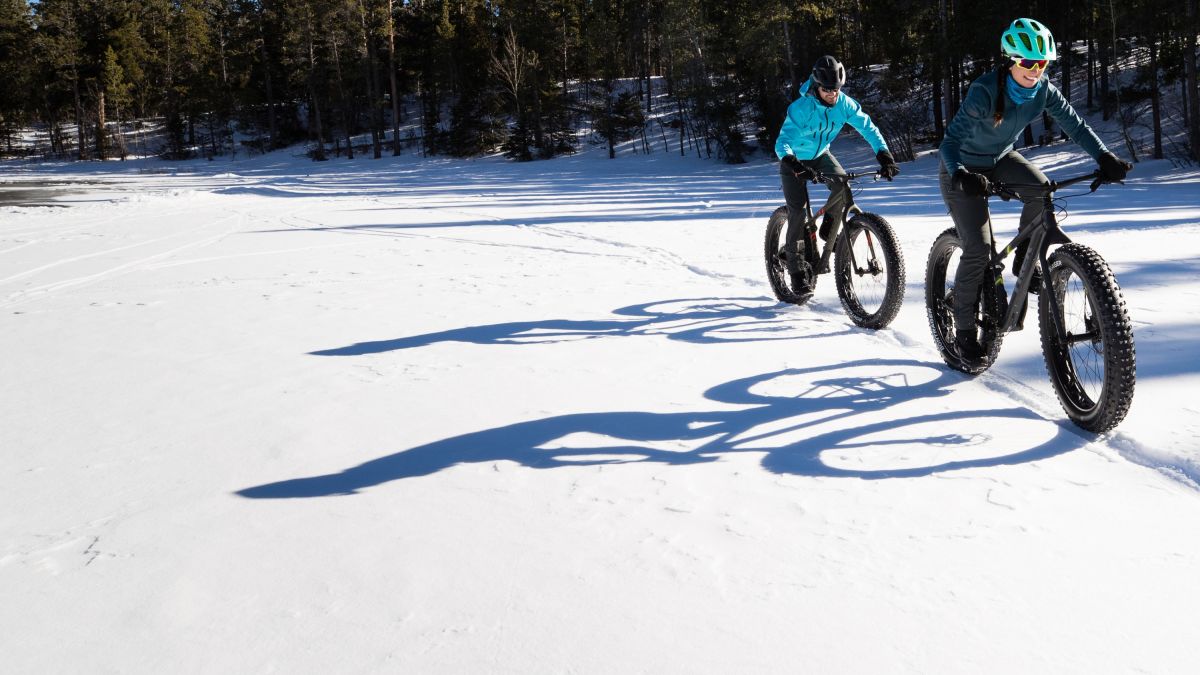 Trek store winter bike