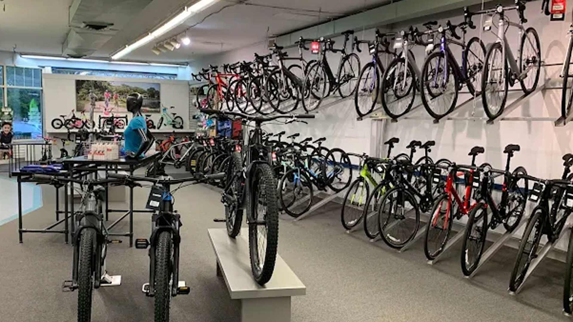 Trek Bicycle Newington | Bike & EBike Sales & Service