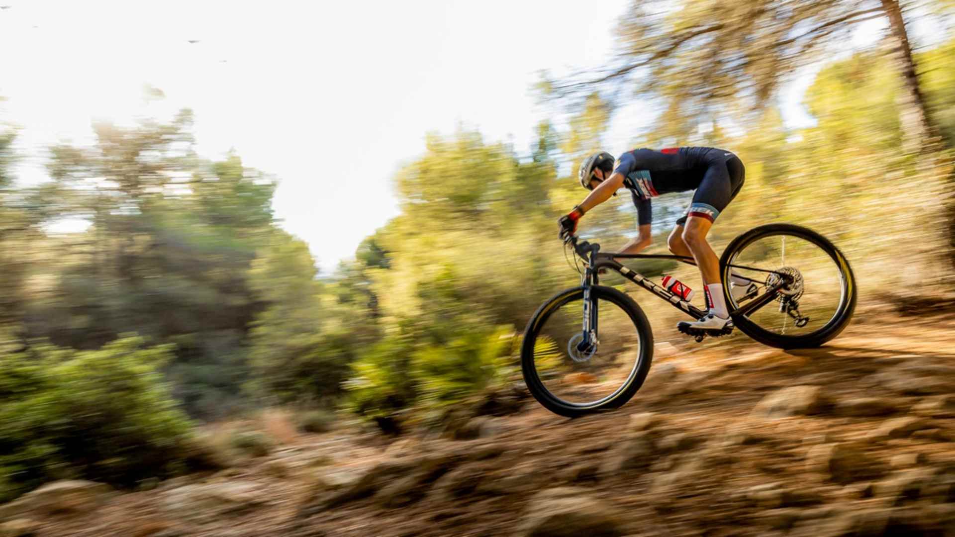 Sakin ve Kontrolü Elinde 